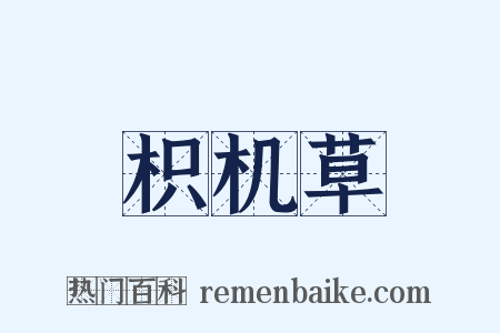 枳机草是什么意思的图片
